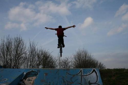 keine h&auml;nde keine kekse